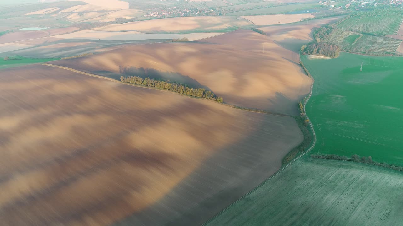 Bird's eye view of long path through huge colourful fields