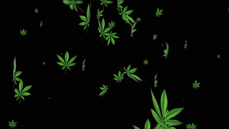 4k abstract loop motion design animation cannabis leaves wiggle at green background medical cannabis