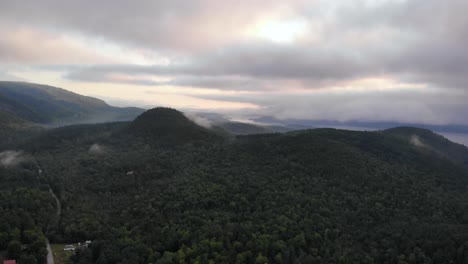 birds eye view of the forest in maine united state of america