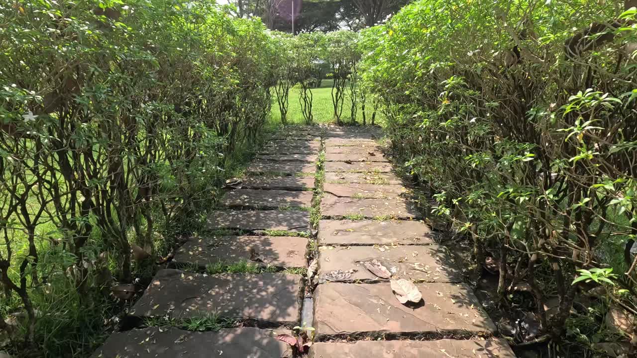 평화로운 정원 산책로를 따라 진행