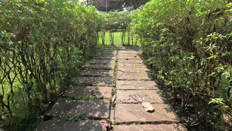 progresión a lo largo de un paseo de jardín sereno