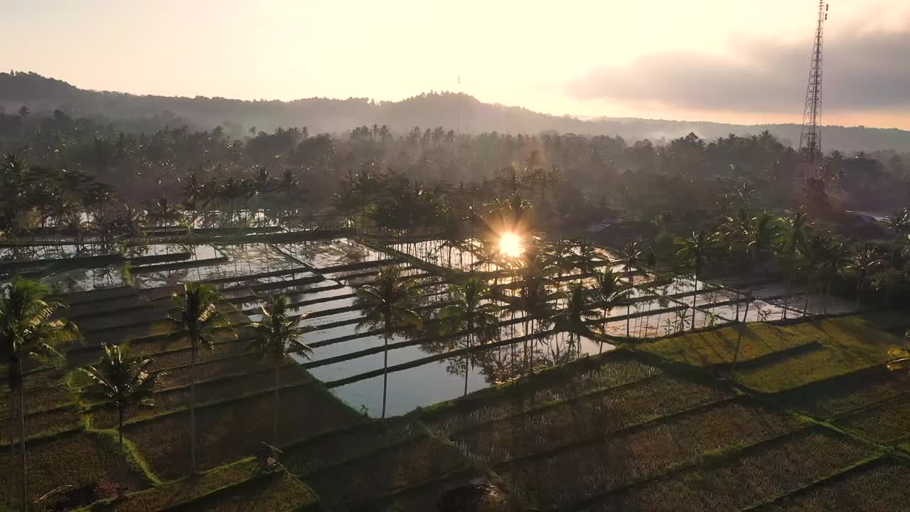 인도네시아 자바에서 일몰 때 태양이 반사되는 야자수와 계단식 논에 대한 공중 비디오