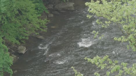 Wissahickon-Creek,-high-angle,-looking-fown-from-Walnut-Lane-bridge