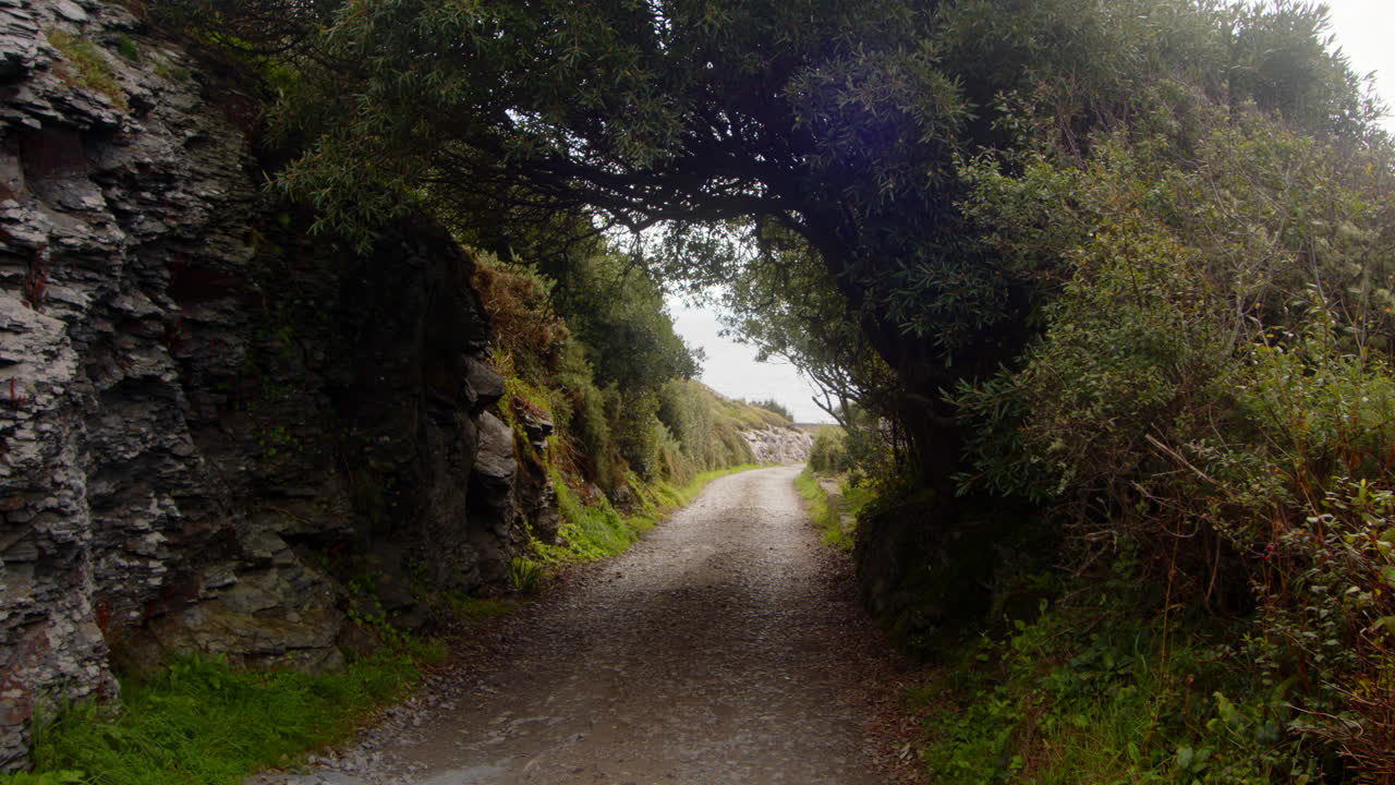 Mid shot of trees over growing country lane on to rocks at Bessy's Cove, The Enys, cornwall