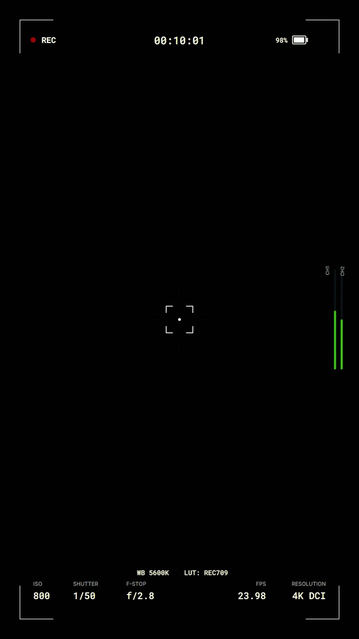 Digital Camera Viewfinder Interface Overlay