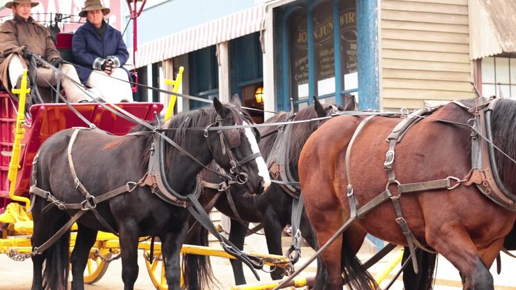 Carriage ride through historical Ballarat, Victoria, Australia