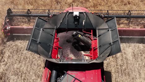 adentrarse en el mundo de las máquinas de vanguardia durante una operación de cosecha de canola a gran escala