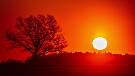 Lapso-De-Tiempo-De-Salida-Del-Sol-Rojo-Vibrante-Sobre-El-Horizonte-Con-Silueta-De-árboles