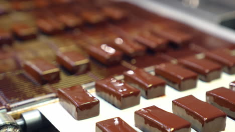 mouth-watering sweets come from the grid to the conveyor line. ready-made candies covered with black chocolate. delicious desserts manufacturing close-up.