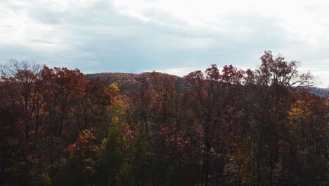 Árboles-De-Otoño-En-El-Paisaje-Escénico-De-Arkansas,-EE.UU.---Disparo-De-Drones