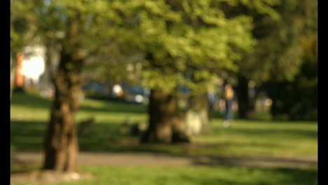 people walking together in the distance