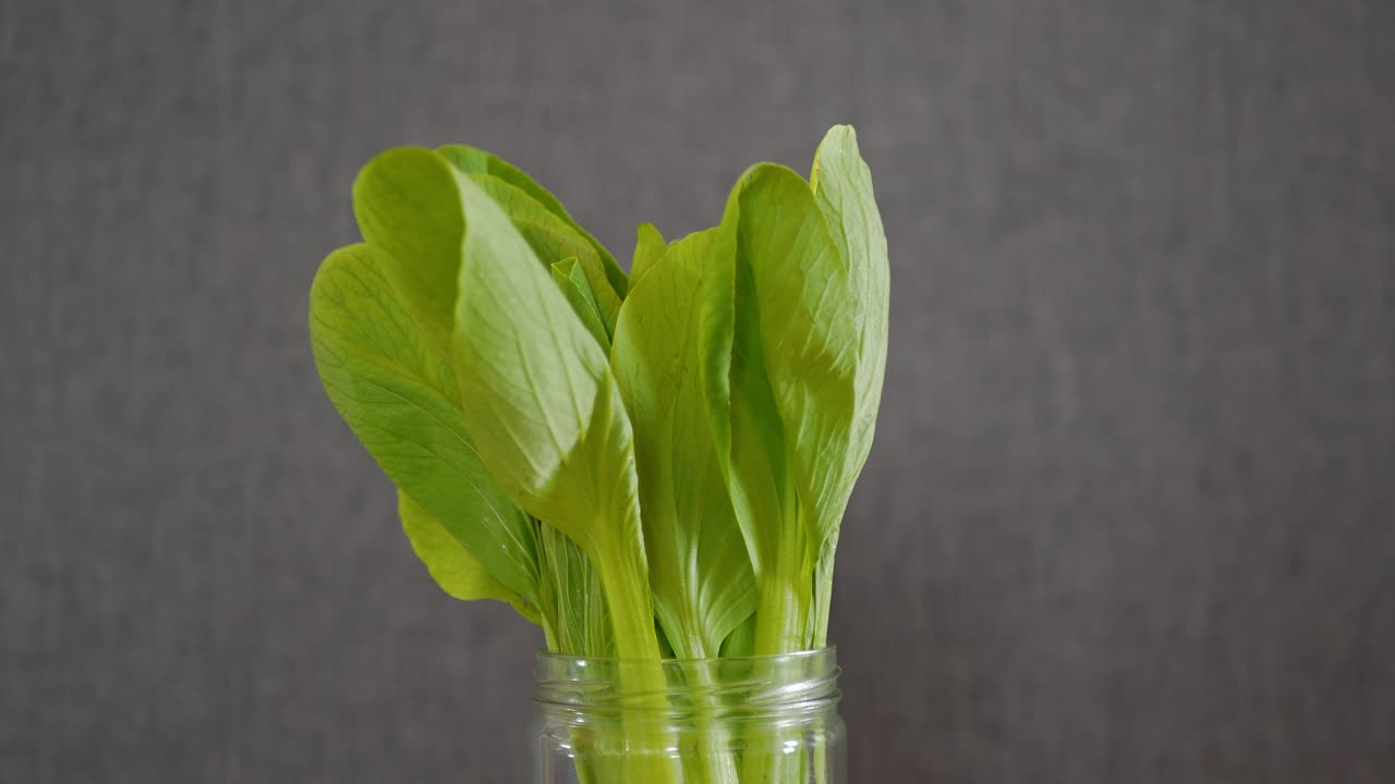 Closeup of Bok choy vegetable in a jar isolated on the grey background
