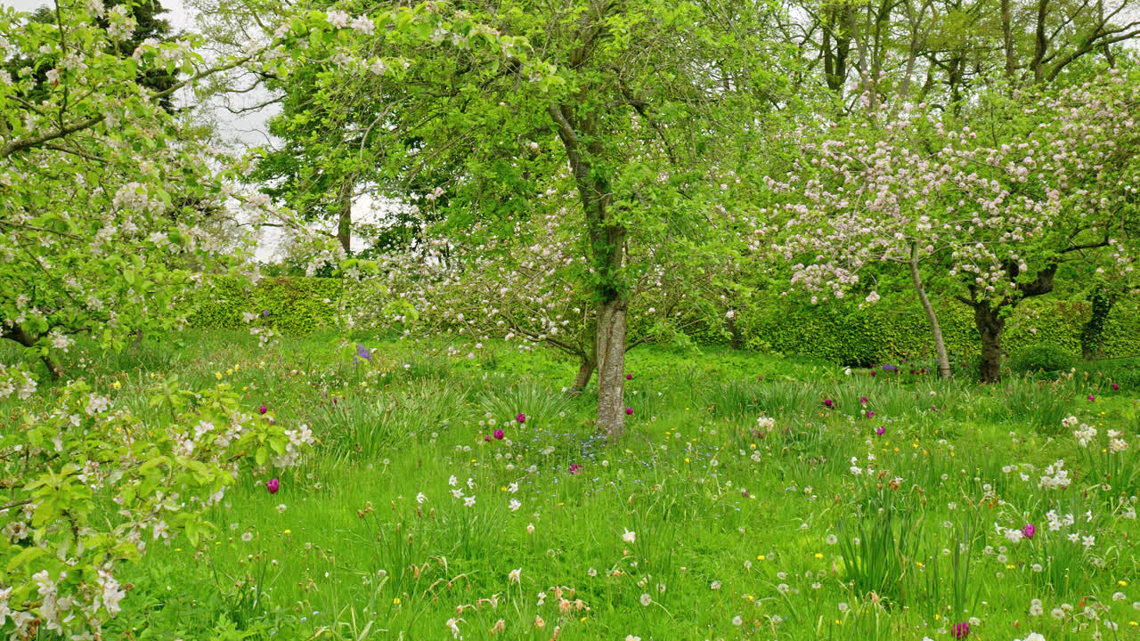 건비 에스테이트, 홀과 정원, 1700년 지어진 친근한 시골 주택은 링컨셔 울즈  ⁇ 에 있는 빅토리아 시대의 벽으로 둘러싸인 정원에 자리잡고 있습니다.
