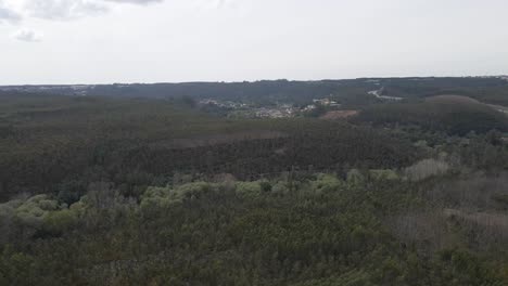 Vista-Aérea-De-Una-Plantación-De-Eucalipto-En-La-Cima-De-Una-Colina-Para-La-Industria-Del-Papel