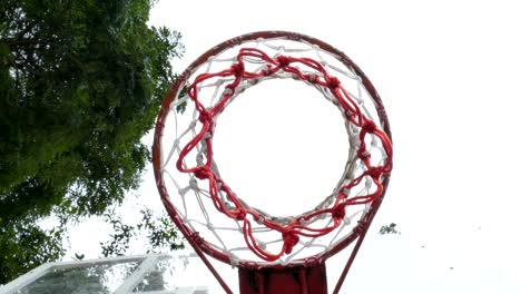 hoop of basketball.