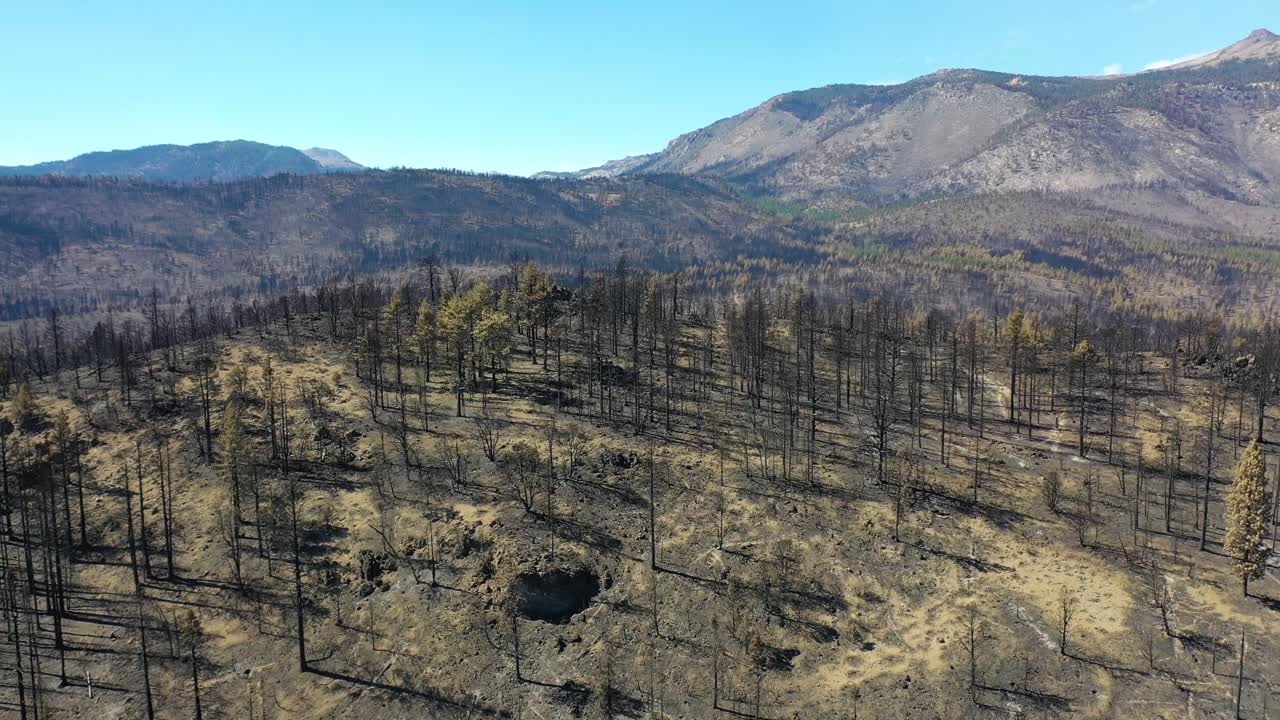 캘리포니아주 타호 호수 근처 칼도르 화재의 불타 파괴된 숲과 광야 파괴 위의 공중