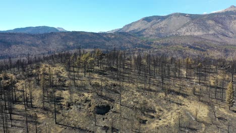 Aerial-Over-The-Burned-Destroyed-Forest-And-Wilderness-Destruction-Of-The-Caldor-Fire-Near-Lake-Tahoe,-California