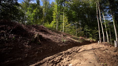 Muddy-forest-road---falled-forest