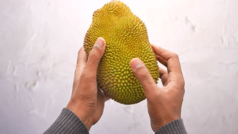 hands holding a jackfruit