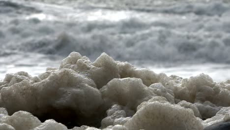 algae foam in storm on the beach, sandy beach with waves, north sea, jütland, sondervig, denmark, 4k