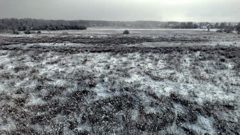 a peaceful open field is dusted with soft falling snow, revealing frosty grass textures, scattered distant trees, and a pale wintry sky, evoking a quiet, atmospheric winter landscape.