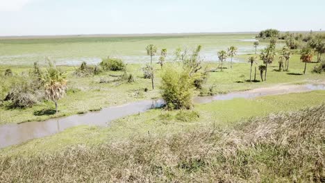 pantanos de america del sur. pantanos de ñeembucu paraguay