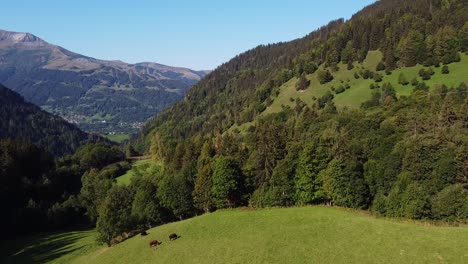 Flying-up-revealing-a-valley-in-the-Alps