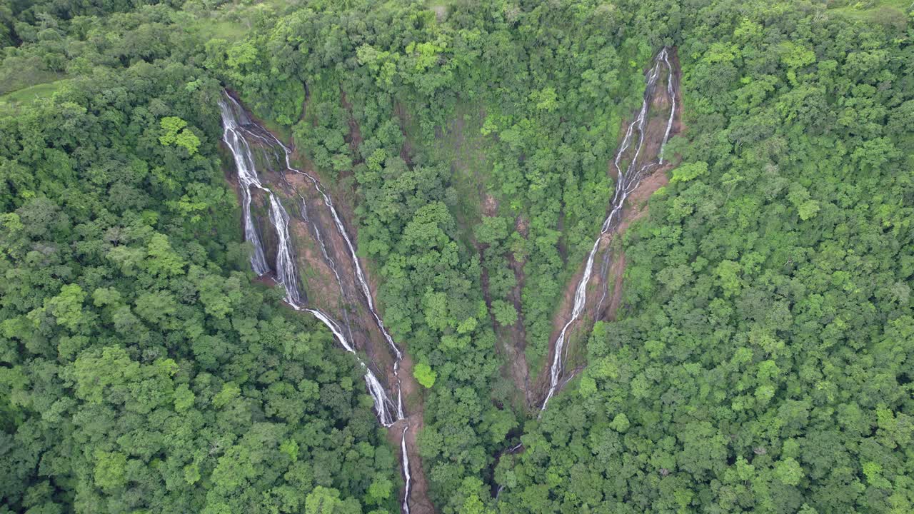 tomado de una pequeña cascada en el bosque verde, costa rica - video 4k