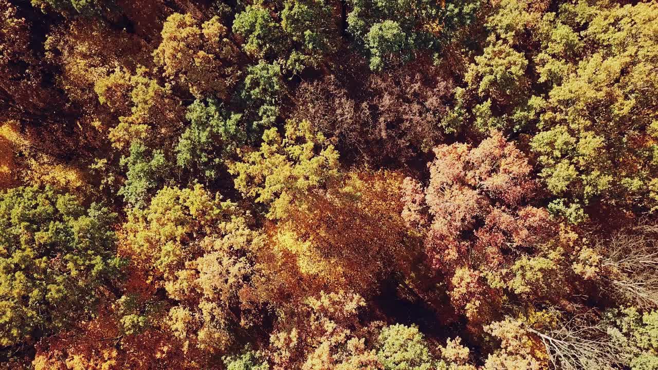 beautiful landscape on a multi-colored autumn forest. Aerial view. Camera motion up