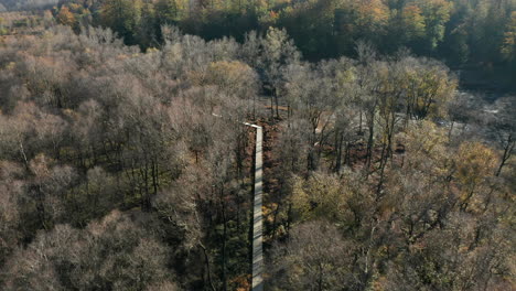 Vista-Aérea-Del-Largo-Sendero-De-Madera-En-La-Reserva-Natural-De-Fagne-Du-Rouge-Ponce-En-Saint-Hubert,-Bélgica