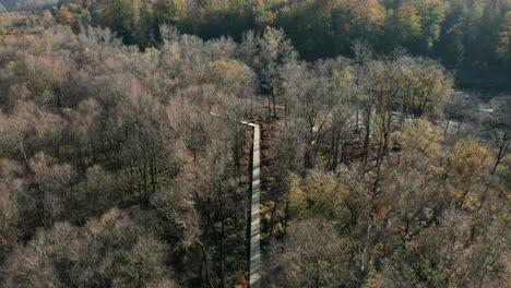 aerial view of long wooden footpath at nature preserve of fagne du rouge ponce in saint hubert, belgium
