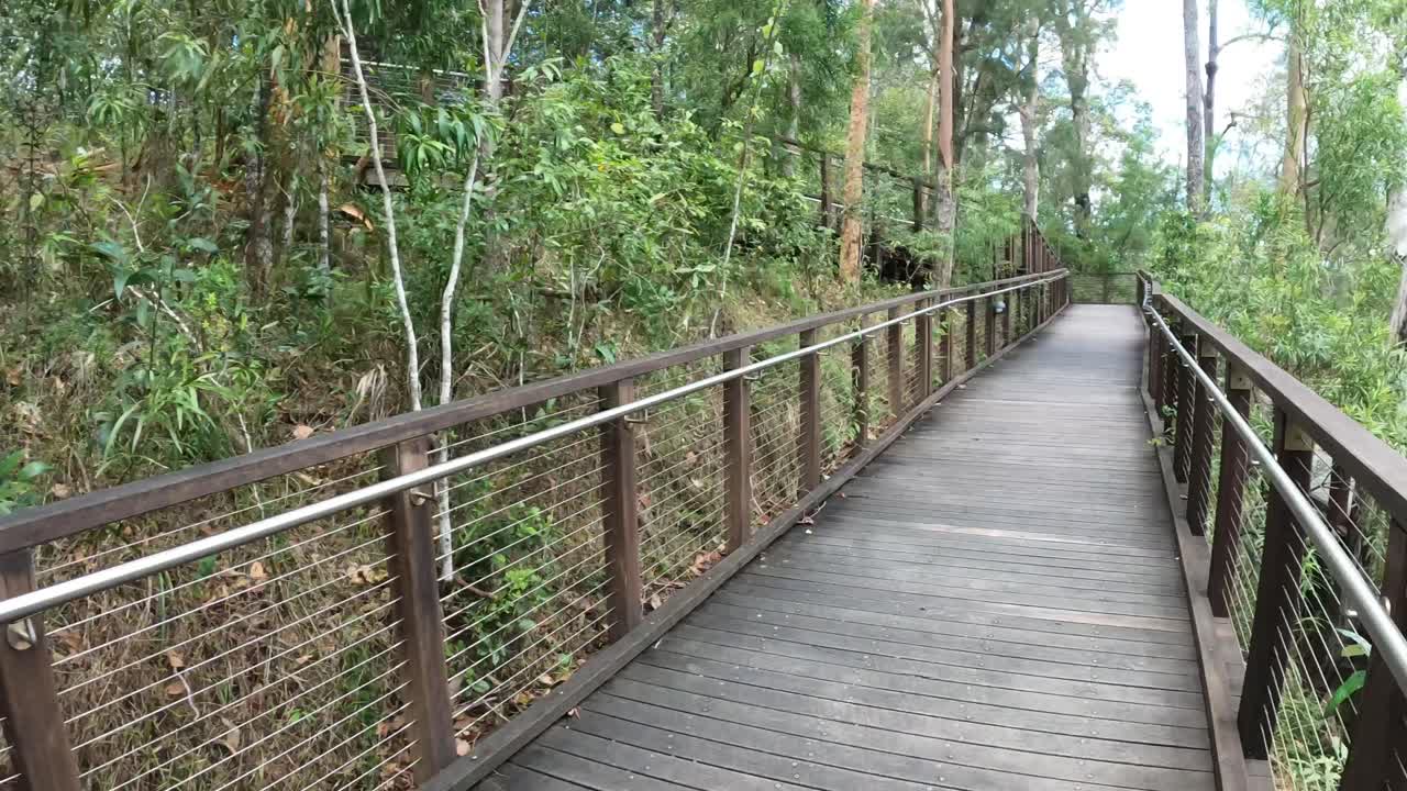 울창 한 숲 에서 나무 로 된 길 을 따라 산책 하는 것