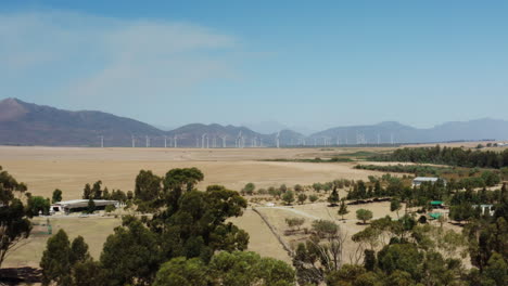 aerial track in to wind turbine farms on a warm sunny day in south africa
