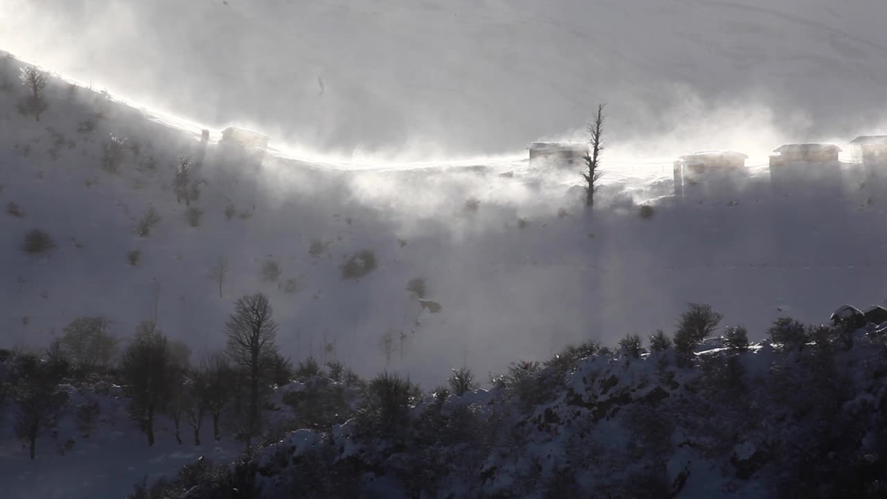 겨울 눈에 북쪽 화창한 날에이란 마살 지역의 고지대의 얼어 붙은 차가운 얼음 안개 구름에있는 산 나무 오두막은 경치 좋은 풍경과 여행 캠프에서 자연 벌거 벗은 나무를 덮고 있습니다.