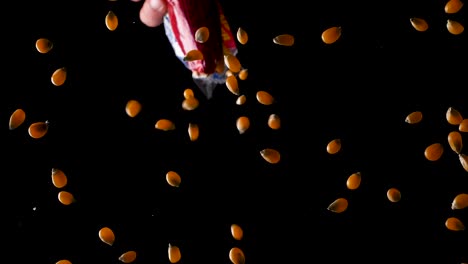 Slow-motion-shot-of-pouring-yellow-corn-grains-out-of-a-red-plastic-bag