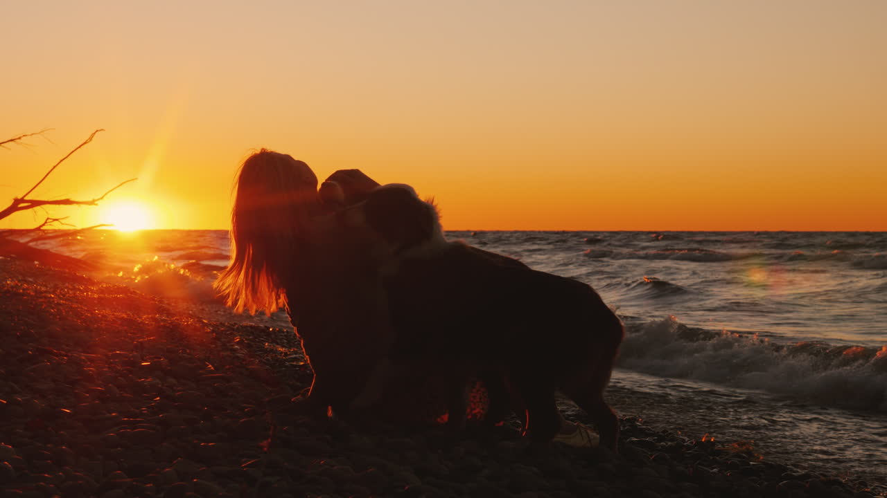 paseo de otoño en el parque con dos mascotas mujer paseando a sus perros
