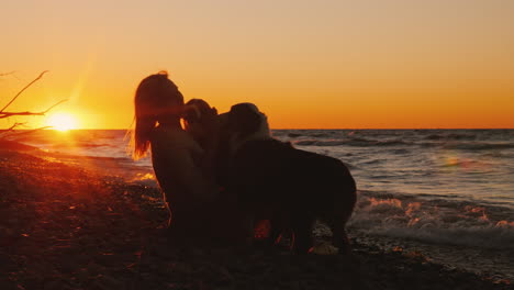 Autumn-Walk-In-The-Park-With-Two-Pets-Woman-Walking-Her-Dogs