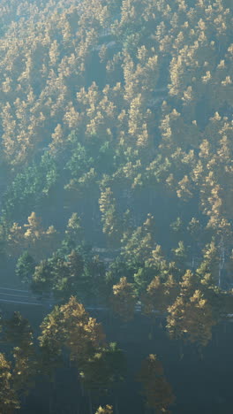 aerial view of a foggy forest in autumn