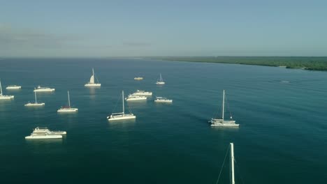 Aerial View of Catamarans and Sailboats in the Caribbean Sea