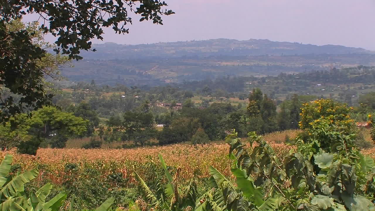 campo rural en una tarde de calor abrasador