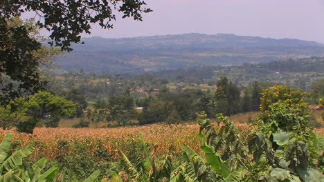 Campo-Rural-En-Una-Tarde-Ardiente