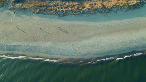 Few-people-walking-along-the-baltic-sea-white-sand-beach-in-Hel-peninsula-summertime,-wide-angle-aerial-top-view