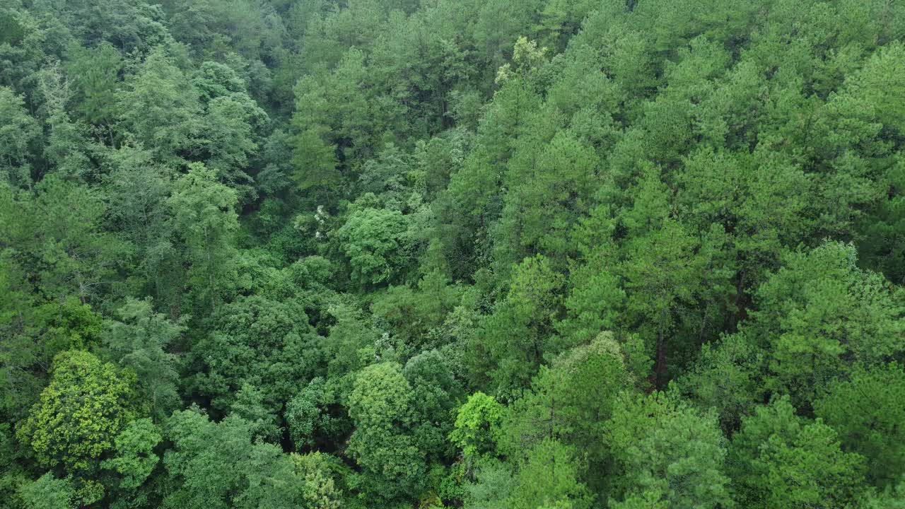 Drone video of Meghalaya's natural beauty.