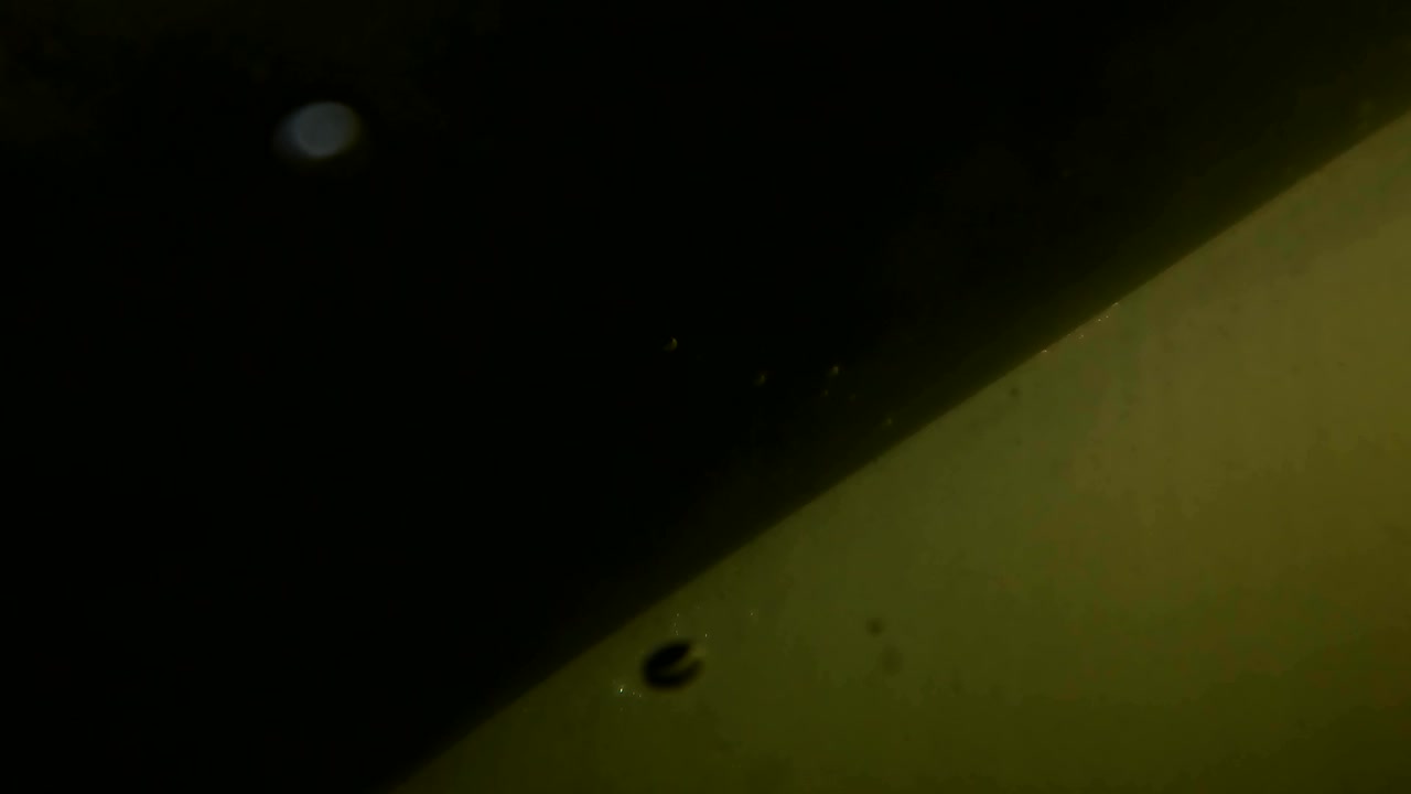 롱보드를 탄 서퍼가 물 속에서 패들링을 하고 있습니다.