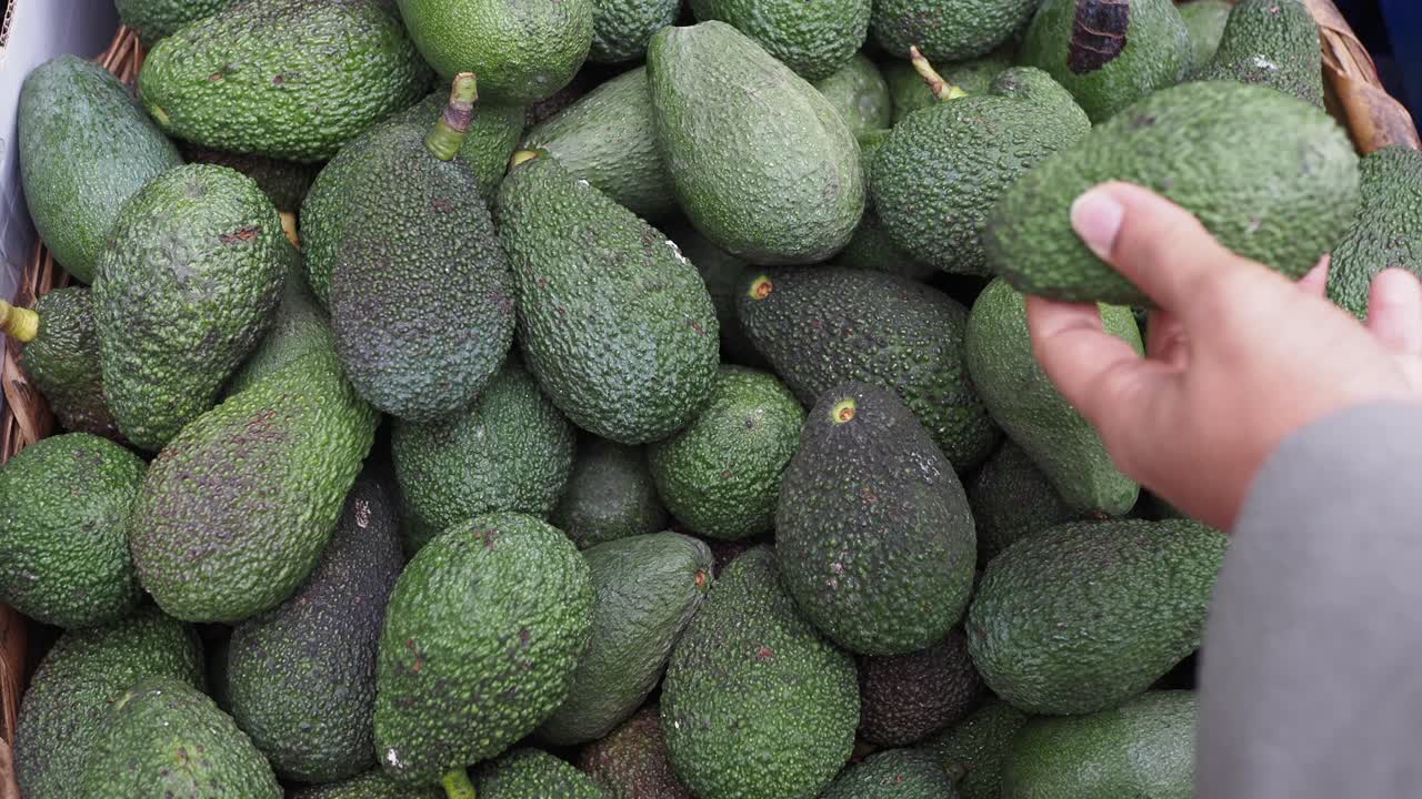 persona comprando aguacates en el mercado