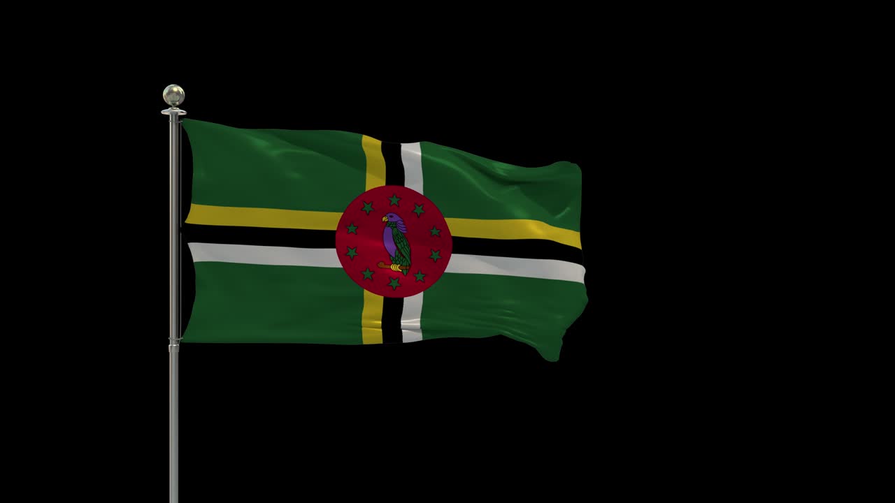 도미니카의 여러 발은 국가 발을 기둥, 테이블 발에 흔들고 있습니다.