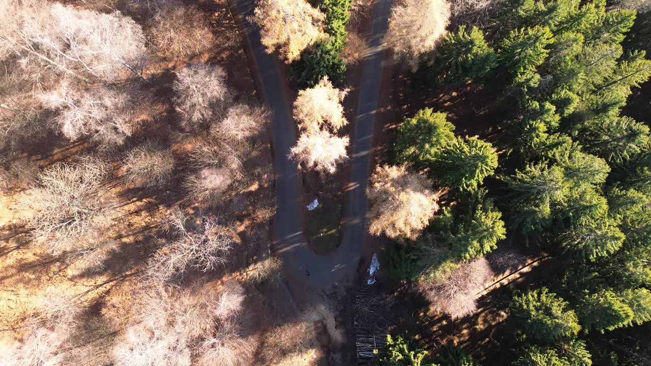 this is the story of a digital traveler, a seeker of panoramas with his drone and this time he went to the forest, with dry leaves and autumn smells that lose himself