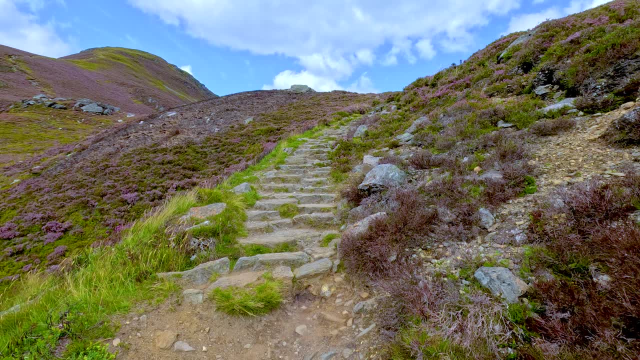 Camera moves steadily up rugged stone steps bordered by heather and grass on a hillside path in Glen Clova, under bright natural daylight