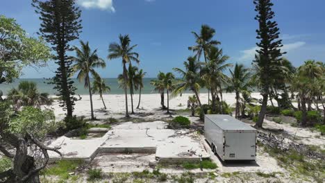 droneando a través de los pinos en la playa de ft myers florida