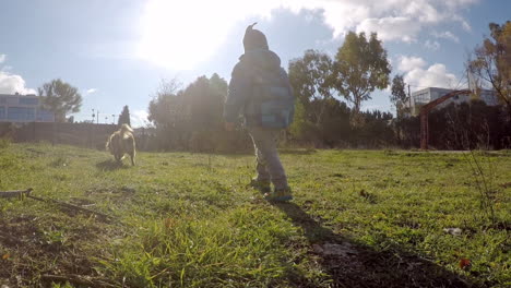 Niño-Corriendo-En-Un-Campo-Con-Un-Perro-De-Tiro-Ancho